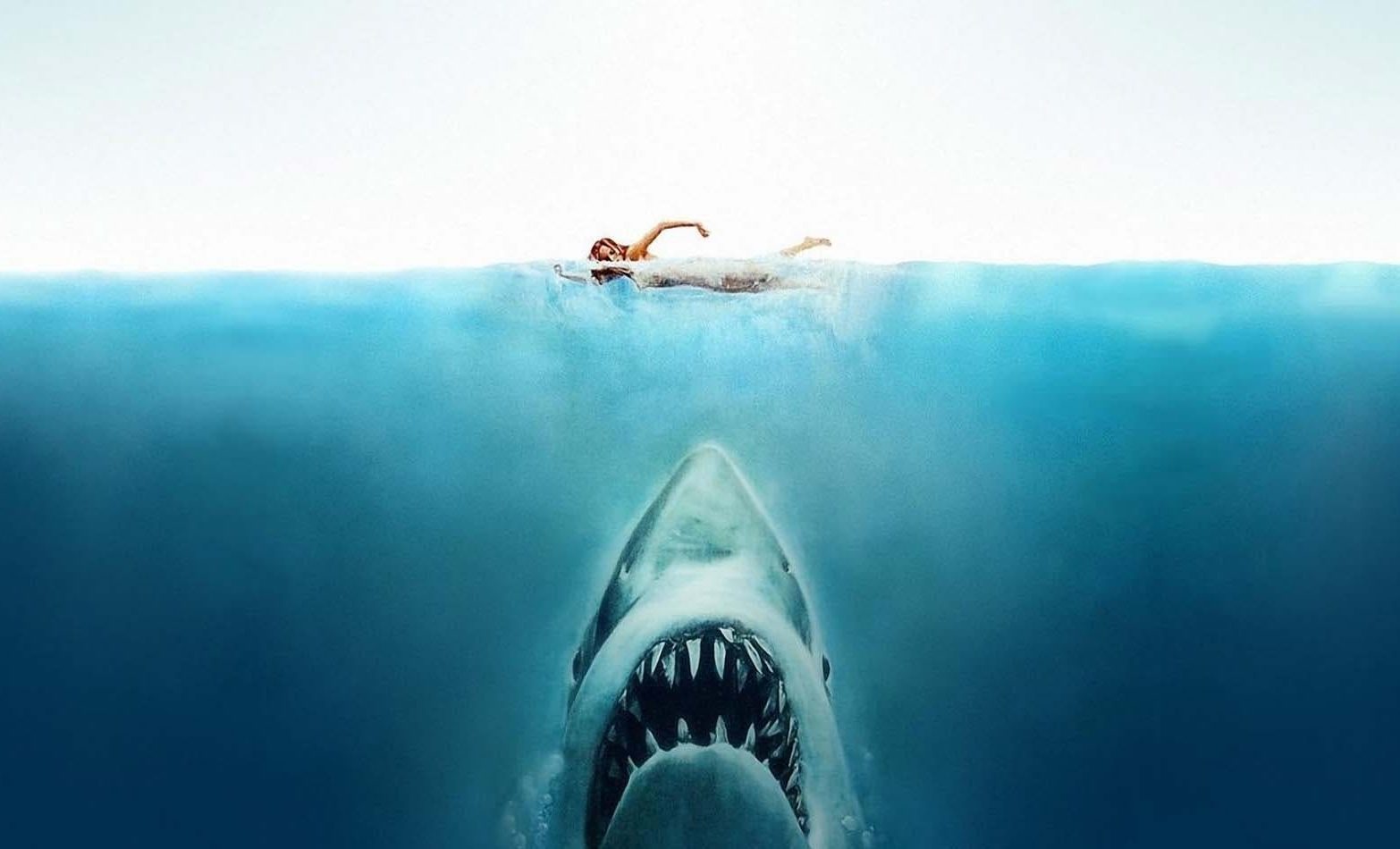 Beste Hai Filme Beste Hai Filme